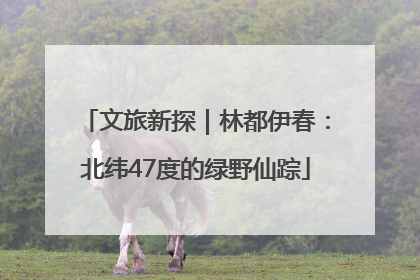 文旅新探｜林都伊春：北纬47度的绿野仙踪
