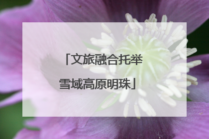 文旅融合托举雪域高原明珠