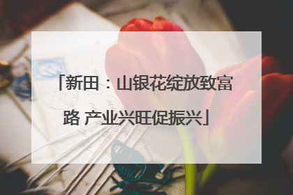 新田：山银花绽放致富路 产业兴旺促振兴