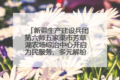 新疆生产建设兵团第六师五家渠市芳草湖农场综治中心开启为民服务、多元解纷“超市”新体验