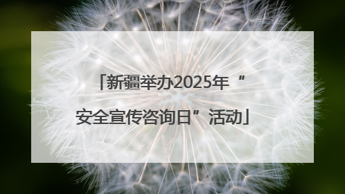 新疆举办2025年“安全宣传咨询日”活动