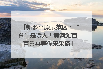 新乡平原示范区：“葚”是诱人！黄河滩百亩桑葚等你来采摘