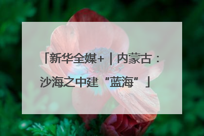 新华全媒+｜内蒙古：沙海之中建“蓝海”