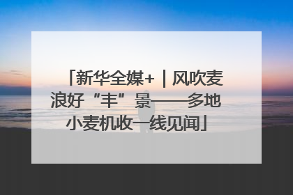 新华全媒+｜风吹麦浪好“丰”景——多地小麦机收一线见闻