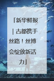 新华鲜报｜古都携手丝路！丝博会绽放新活力