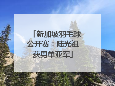 新加坡羽毛球公开赛：陆光祖获男单亚军