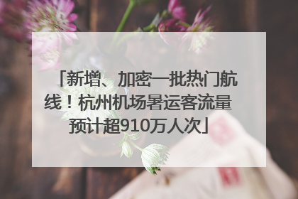 新增、加密一批热门航线！杭州机场暑运客流量预计超910万人次