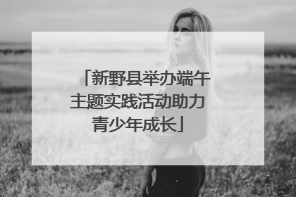 新野县举办端午主题实践活动助力青少年成长