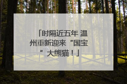 时隔近五年 温州重新迎来“国宝”大熊猫！
