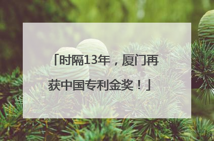 时隔13年，厦门再获中国专利金奖！