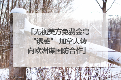 无视美方免费金穹“诱惑” 加拿大转向欧洲谋国防合作