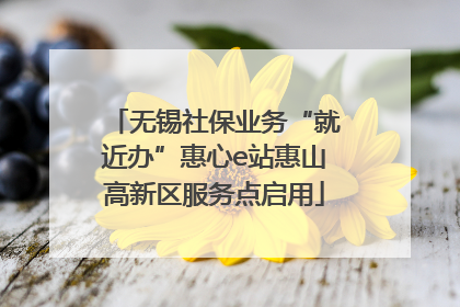 无锡社保业务“就近办”惠心e站惠山高新区服务点启用