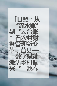 日照：从“流水账”到“云台账”看农村财务管理新变革，莒县——数字赋能激活乡村振兴“一池春水”