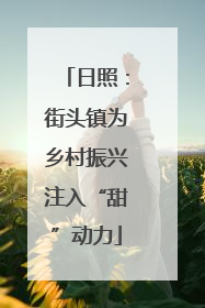 日照：街头镇为乡村振兴注入“甜”动力