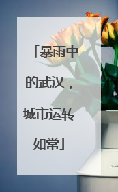 暴雨中的武汉，城市运转如常