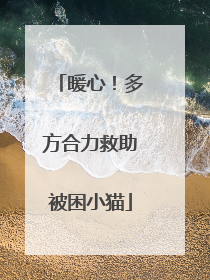 暖心！多方合力救助被困小猫
