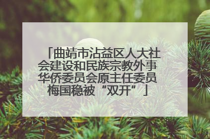 曲靖市沾益区人大社会建设和民族宗教外事华侨委员会原主任委员梅国稳被“双开”