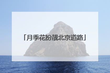 月季花扮靓北京道路