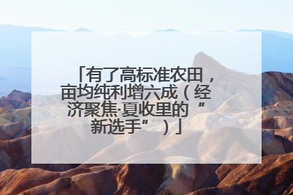 有了高标准农田，亩均纯利增六成（经济聚焦·夏收里的“新选手”）