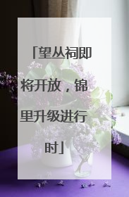 望丛祠即将开放，锦里升级进行时