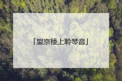 望京楼上聆琴音