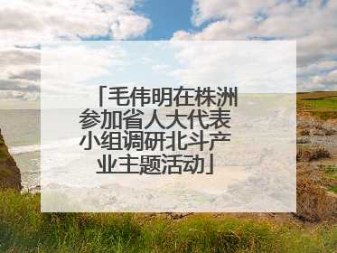 毛伟明在株洲参加省人大代表小组调研北斗产业主题活动