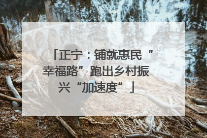 正宁：铺就惠民“幸福路”跑出乡村振兴“加速度”