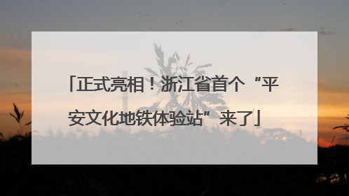 正式亮相！浙江省首个“平安文化地铁体验站”来了