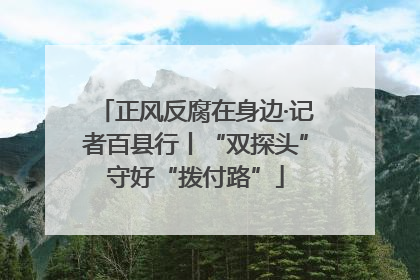 正风反腐在身边·记者百县行丨“双探头”守好“拨付路”