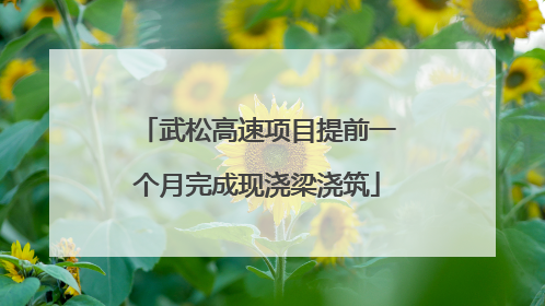 武松高速项目提前一个月完成现浇梁浇筑