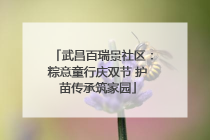 武昌百瑞景社区：粽意童行庆双节 护苗传承筑家园