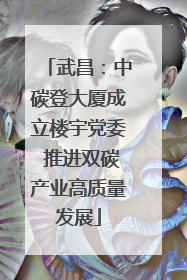 武昌：中碳登大厦成立楼宇党委 推进双碳产业高质量发展