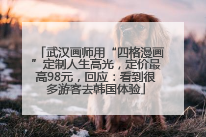 武汉画师用“四格漫画”定制人生高光，定价最高98元，回应：看到很多游客去韩国体验