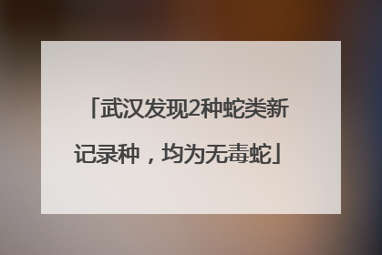 武汉发现2种蛇类新记录种，均为无毒蛇