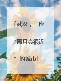 武汉，一座“离月亮很近”的城市