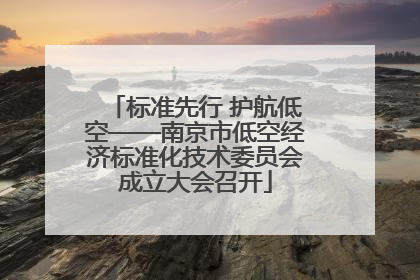 标准先行 护航低空——南京市低空经济标准化技术委员会成立大会召开