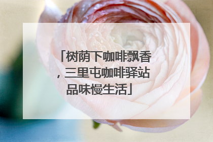 树荫下咖啡飘香，三里屯咖啡驿站品味慢生活