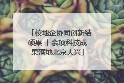校地企协同创新结硕果 十余项科技成果落地北京大兴