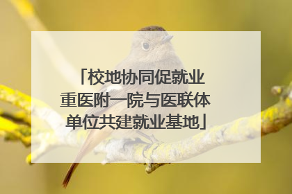 校地协同促就业 重医附一院与医联体单位共建就业基地