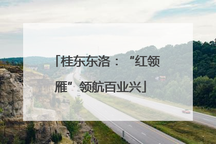 桂东东洛：“红领雁”领航百业兴