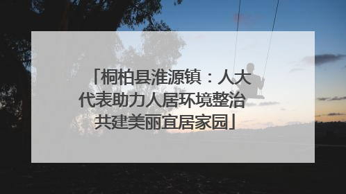 桐柏县淮源镇：人大代表助力人居环境整治 共建美丽宜居家园