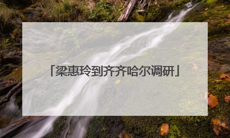 梁惠玲到齐齐哈尔调研