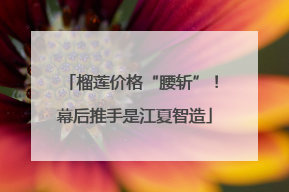 榴莲价格“腰斩”！幕后推手是江夏智造