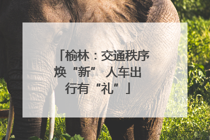 榆林：交通秩序焕“新” 人车出行有“礼”
