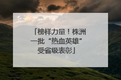 榜样力量！株洲一批“热血英雄”受省级表彰