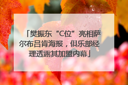 樊振东“C位”亮相萨尔布吕肯海报，俱乐部经理透露其加盟内幕