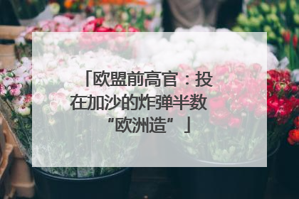 欧盟前高官：投在加沙的炸弹半数“欧洲造”