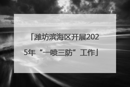潍坊滨海区开展2025年“一喷三防”工作