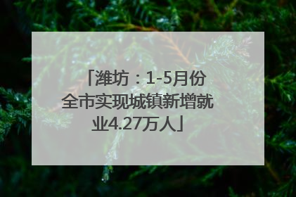 潍坊：1-5月份全市实现城镇新增就业4.27万人