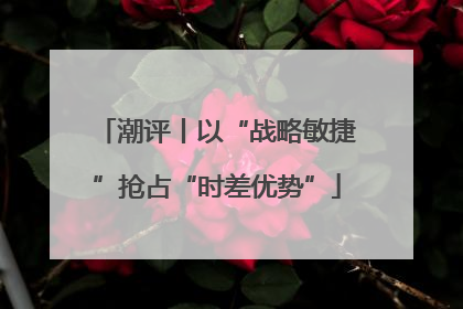 潮评丨以“战略敏捷”抢占“时差优势”